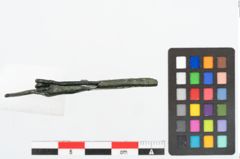 Foto von Bronzepferdchenfibel (NHMW-PRAE-025622)
